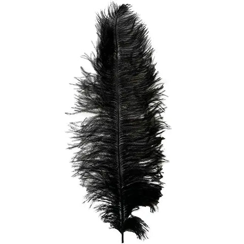 OSTRICH FEATHER BLACK x 1 - 35cm LONG - Whip It Up Cake Supplies