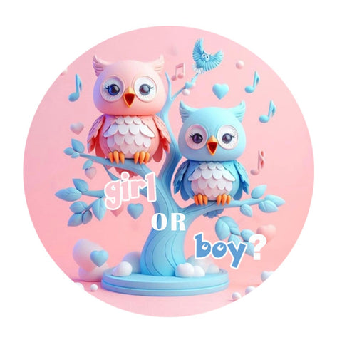 OWLS GIRL OR BOY? 7" ROUND EDIBLE IMAGE